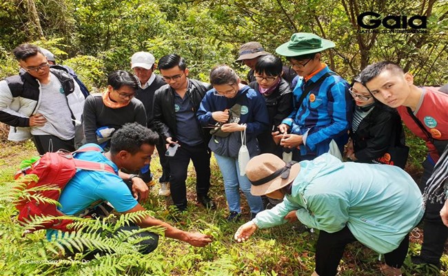 Khi mùa xuân về với rừng